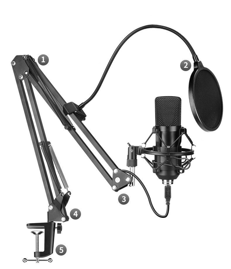 Labeled components of BM-700 Microphone Set including boom arm, pop filter, mic, shock mount, and desk clamp for easy setup and recording use.