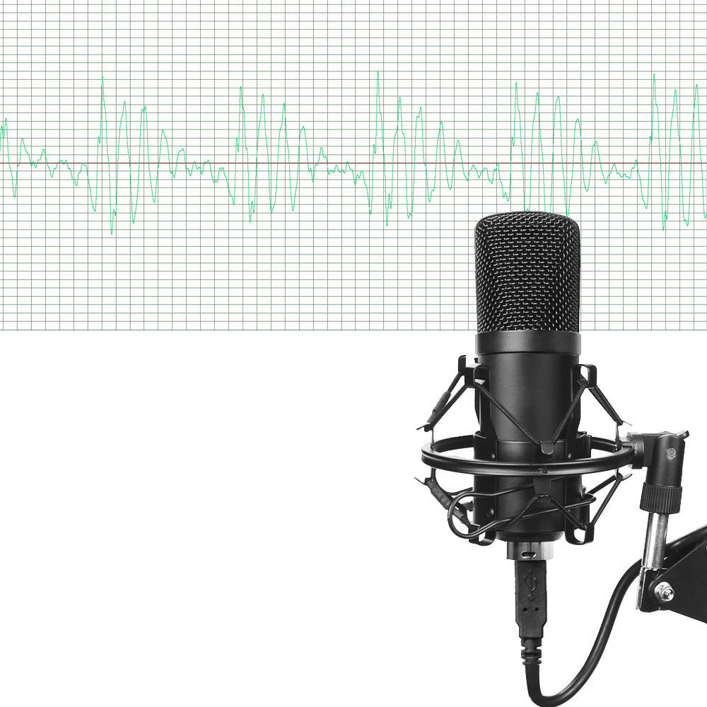 BM-700 Condenser Microphone with waveform background, showcasing its precise 24-bit, 192KHz audio capture for music and studio recording.