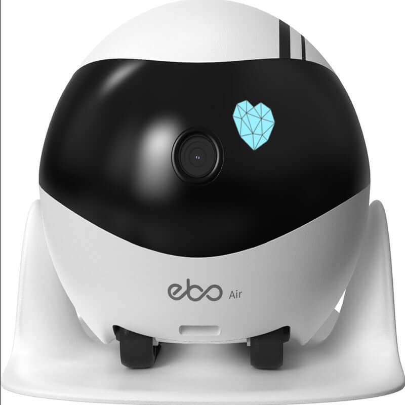 Ebo Robot companion