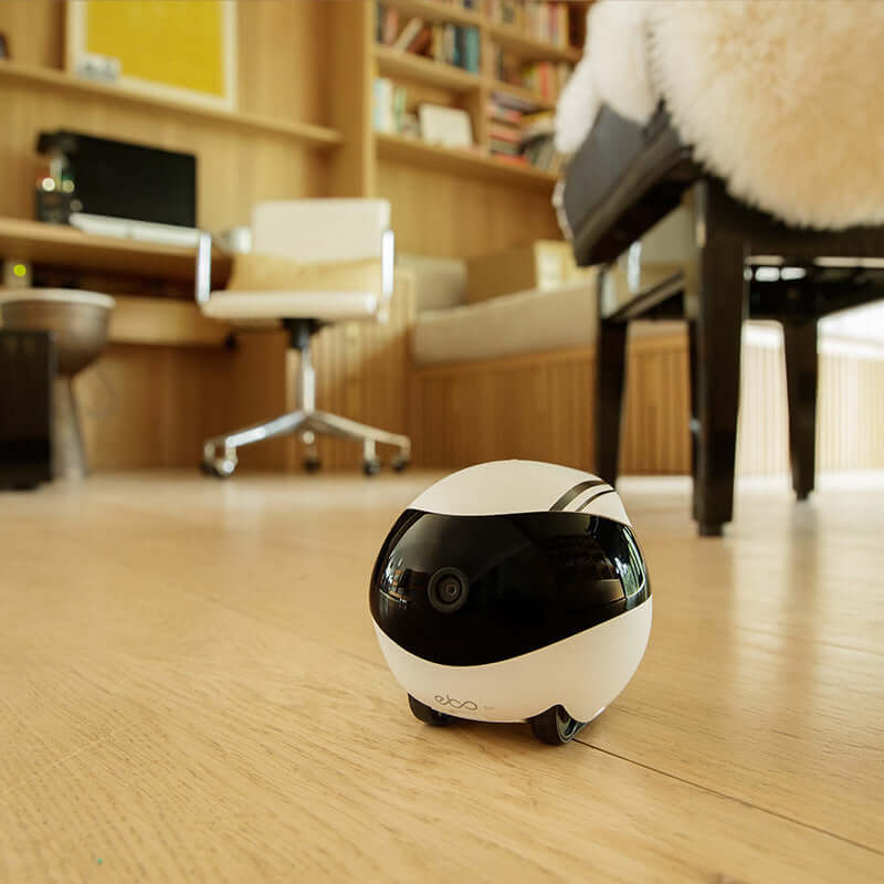 Ebo Robot companion