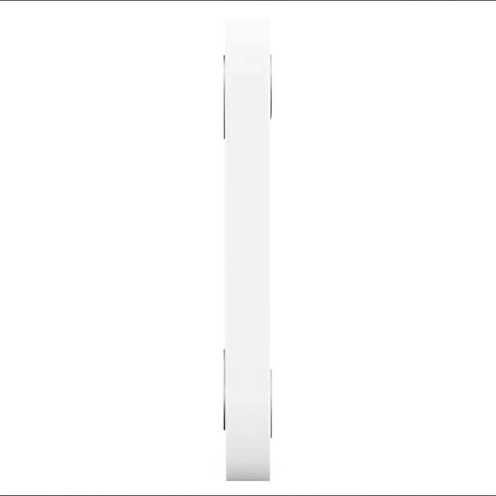 Digital Scale