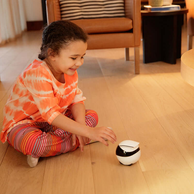 Ebo Robot companion